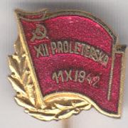 XII Proleterska brigada