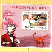 Union des Comores 2008 g Paleontologija MNH 4996