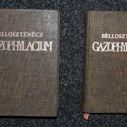 Ivan Belostenec Gazophylacium I-II
