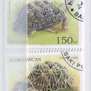 Azerbajdžan 1995 kornjače gmazovi vodozemci CTO