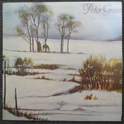 LP PETER GREEN - WHITE SKY M/M