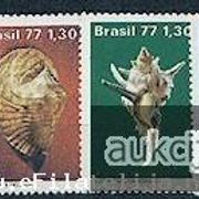 Brazil 1977: razne školjke, čista kompletna serija, Mi. br. 1604/06