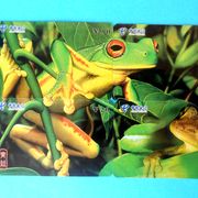 ŽABE - puzzle komplet od 4. kineske kartice * žaba životinje fauna lopoči