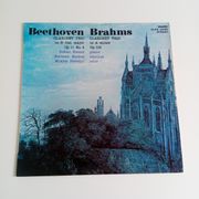 Beethoven: Clarinet Trio In B Flat Major Op.11 N°4 / Brahms: A Minor Op.114