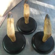 Tri stare lovačke vješalice - srneće nogice