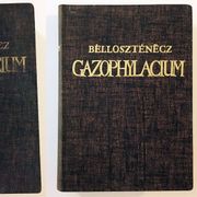 Joannis Bellosztenecz Ivan Belostenec Gazophylacium knjiga 1 2 komplet #2