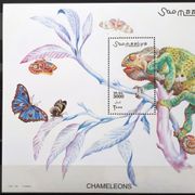 E96: Somalija, Kameleon (2001), atraktivan blok