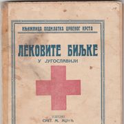 Lekovite biljke u Jugoslaviji 1930  ➡️ nivale