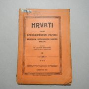 HRVATI PREMA NEPOGRJEŠIVOSTI PAPINOJ PRIGODOM VATIKANSKOG SABORA 1869/70