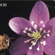 Pčela - Cvijet ... stara Švedska chip kartica * Fauna