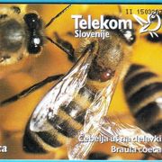 Pčele - stara vrlo rijetka slovenska chip kartica * Pčela Pčelarstvo Fauna