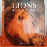 Lions - king of beasts - Lee Server - enciklopedija o lavovima