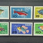 DDR - 1966 - Akvarijske ribe, kompletna serija, MNH