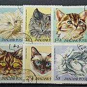 Mađarska - 1968 - Domaće mačke, kompletna serija, Žigosano