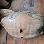 Figura kokos glava
