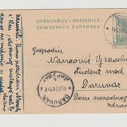 Jugoslavija dopisnica - putovala , žig Daruvar 1960