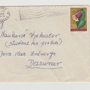 Jugoslavija putovalo pismo 1960 žig Rijeka Daruvar olovkom poništena marka