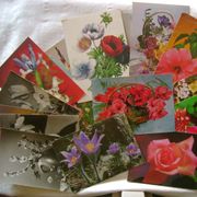 Razglednica - lot od 22 razglednice - Cvijeće - 1 €