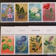 Flora 1971 i 1973,čisto