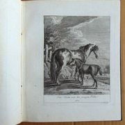 J.E. Ridinger - Entwurff einiger Pferde... ,Augsburg , 1755. , bakrorez