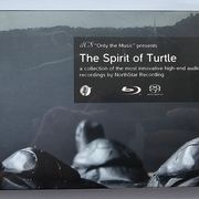 The Spirit Of Turtle