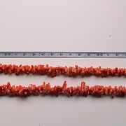 Stari koraljni lanac  50 cm