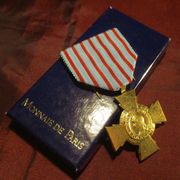 Francuska medalja Križ ratnika, aktualni model, bronca s pozlatom, kutija