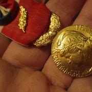 Francuska medalja časti rada "Zlatna klasa" 2001, ? s pozlatom, 15.50 grama