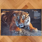 Kolekcionarstvo: Plakat "Tigar sa Sumatre"