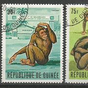 Gvineja,Fauna-Majmuni 1969.,žigosano sa gumom