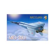 Maketa aviona avion MiG-25 U Soviet interceptor 1/72 1:7
