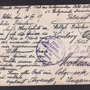 Razglednica upućena preko njemačke vojne pošte 1917 i žig Poljskog topništv