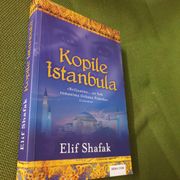 Elif Shafar - Kopile Istambula